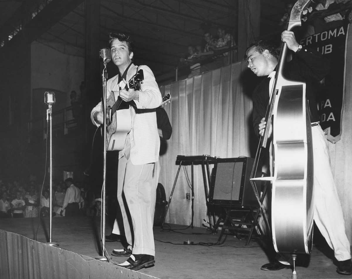 ELVIS PRESLEY – THE CONCERT FOLIOS 1955–1977
BRAND NEW RELEASE FROM JAT PUBLISHING!
232-PAGE FULL-COLOUR HARDBACK BOOK
INCLUDES A FREE 2027 POCKET CALENDAR! Being shipped to me this week! - Image 4